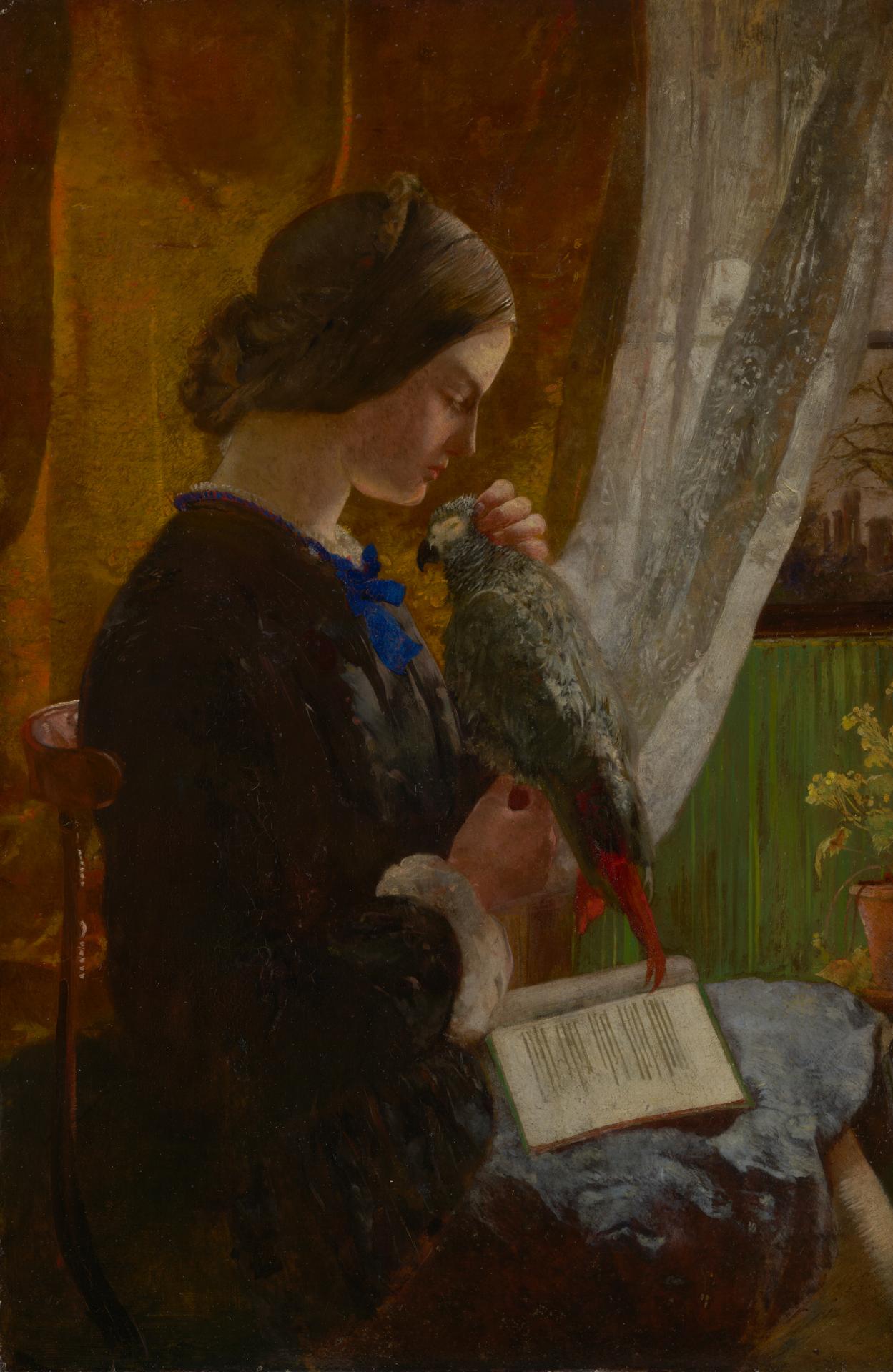 Walter Deverell, El loro gris, ca. 1852-53. National Gallery of Victoria, Melbourne.