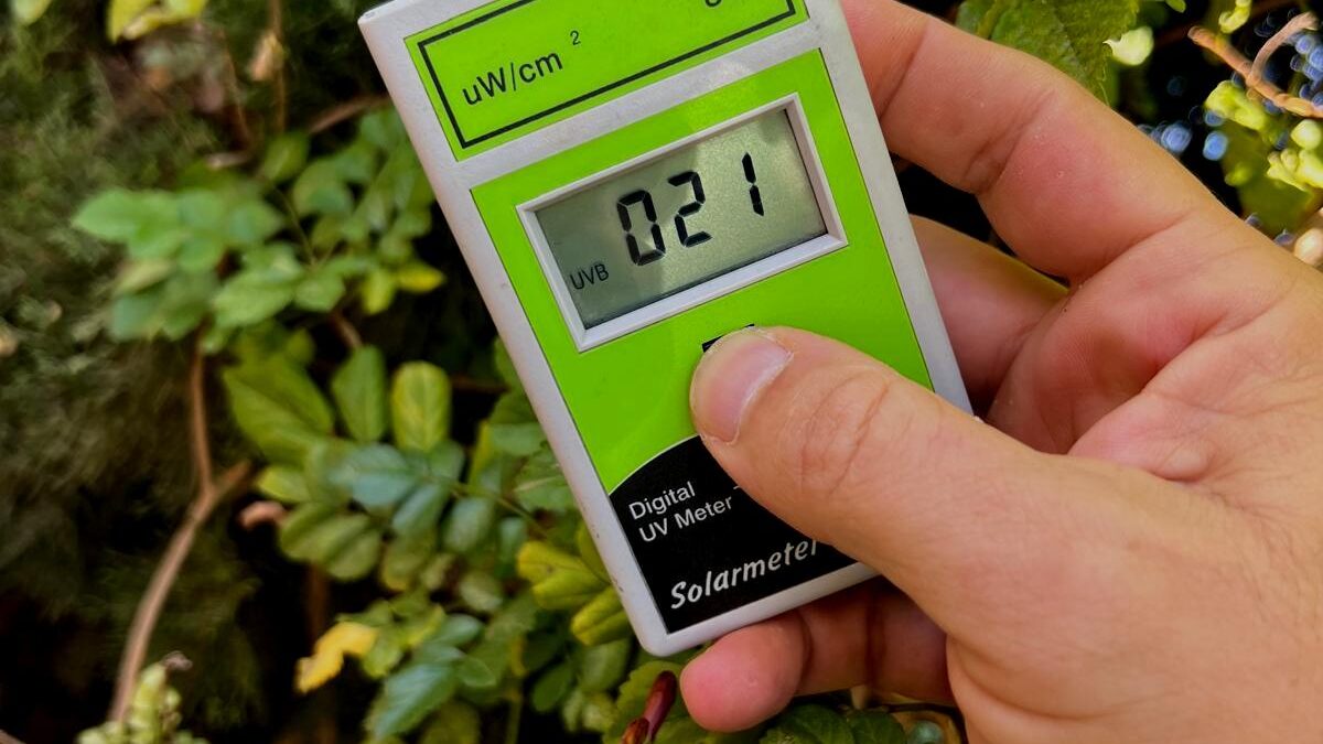 Luz UV para reptiles: tecnologías y zonas de Ferguson