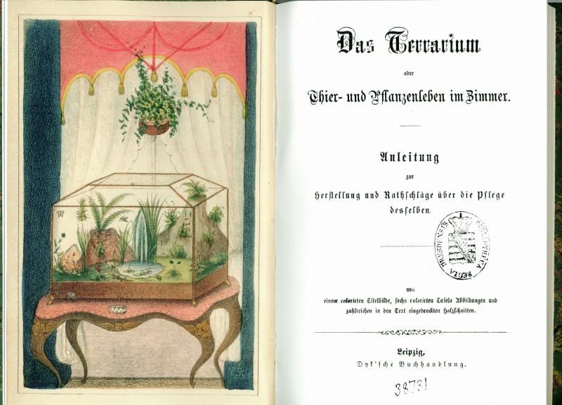 Historia de la terrariofilia: Alemania inventó el terrario, y la prueba estuvo perdida 150 años