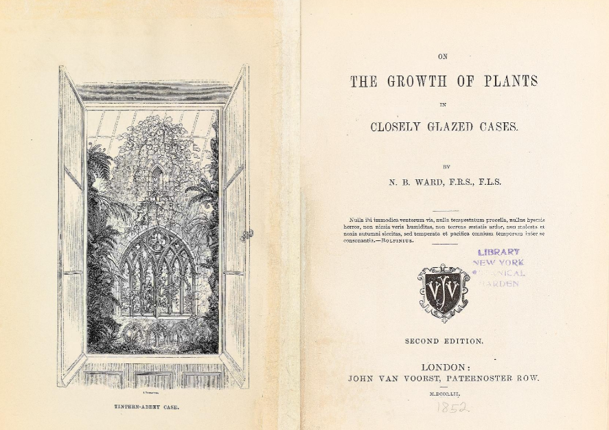 Historia de los terrarios: el cajón de Ward