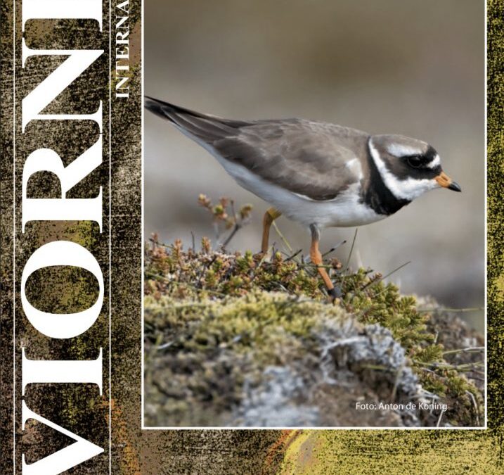 Revista Aviornis n. 207: faisán de Vietnam, cerceta carretona y más