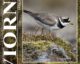 Portada de la revista Aviornis Ibérica 207