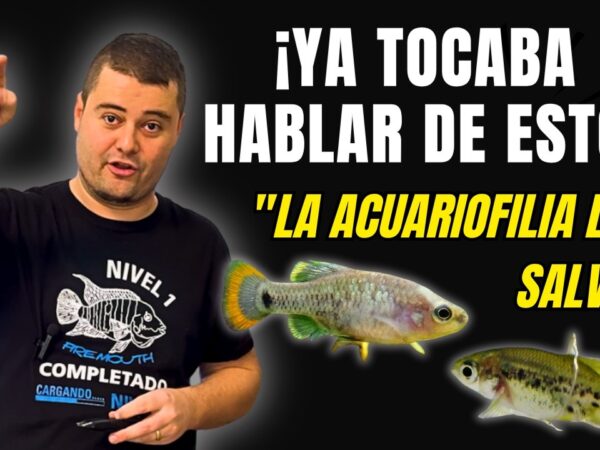 Nico Luchoro: ya tocaba hablar de esto