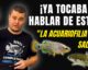 Nico Luchoro: ya tocaba hablar de esto