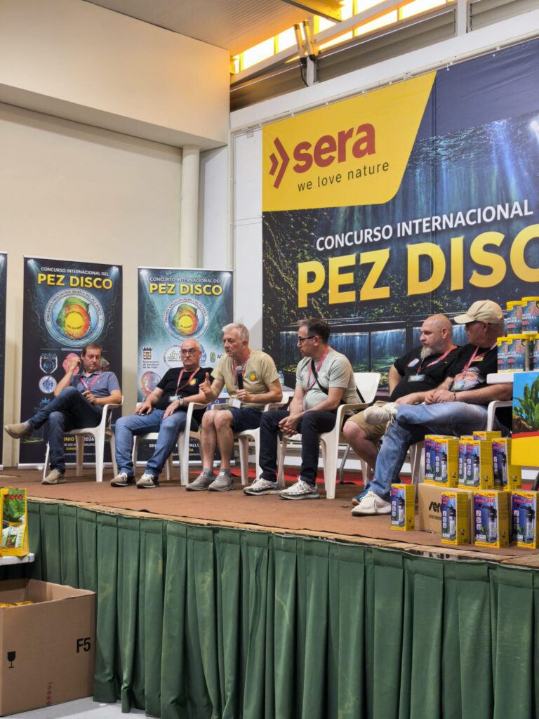 Galería del primer concurso de discos de ASIMED 2026 - Benifairó de les Valls (Valencia)