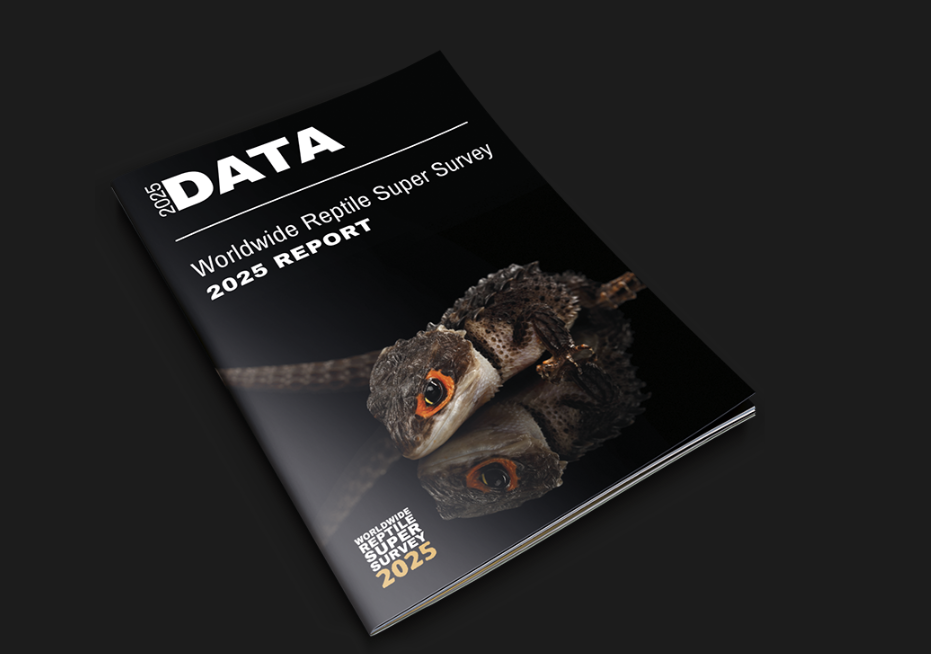 Qué tienen en sus terrarios los europeos: publicada la mayor encuesta mundial sobre reptiles