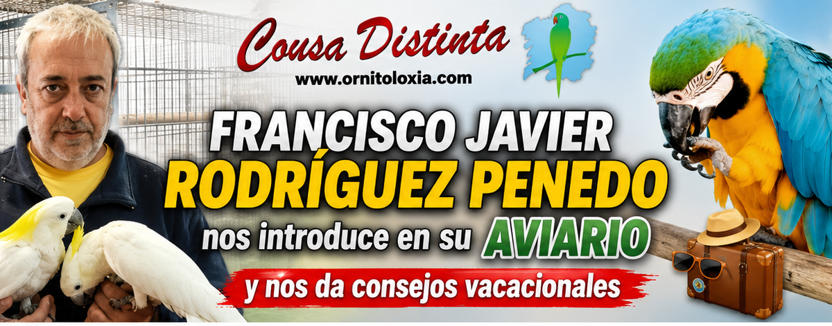 Aviario en verano: agua, sombra y vacaciones (I)