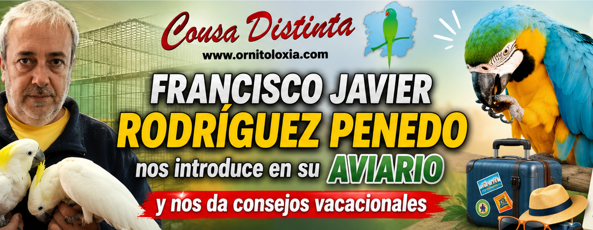 Así es por dentro un aviario listo para el verano (II)