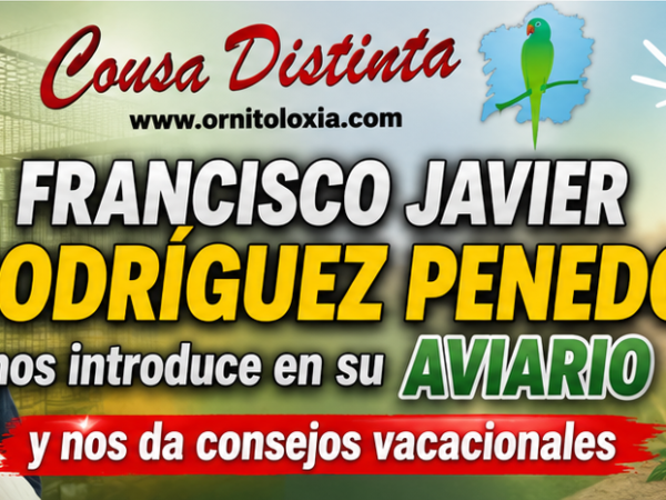 verano penedo 2