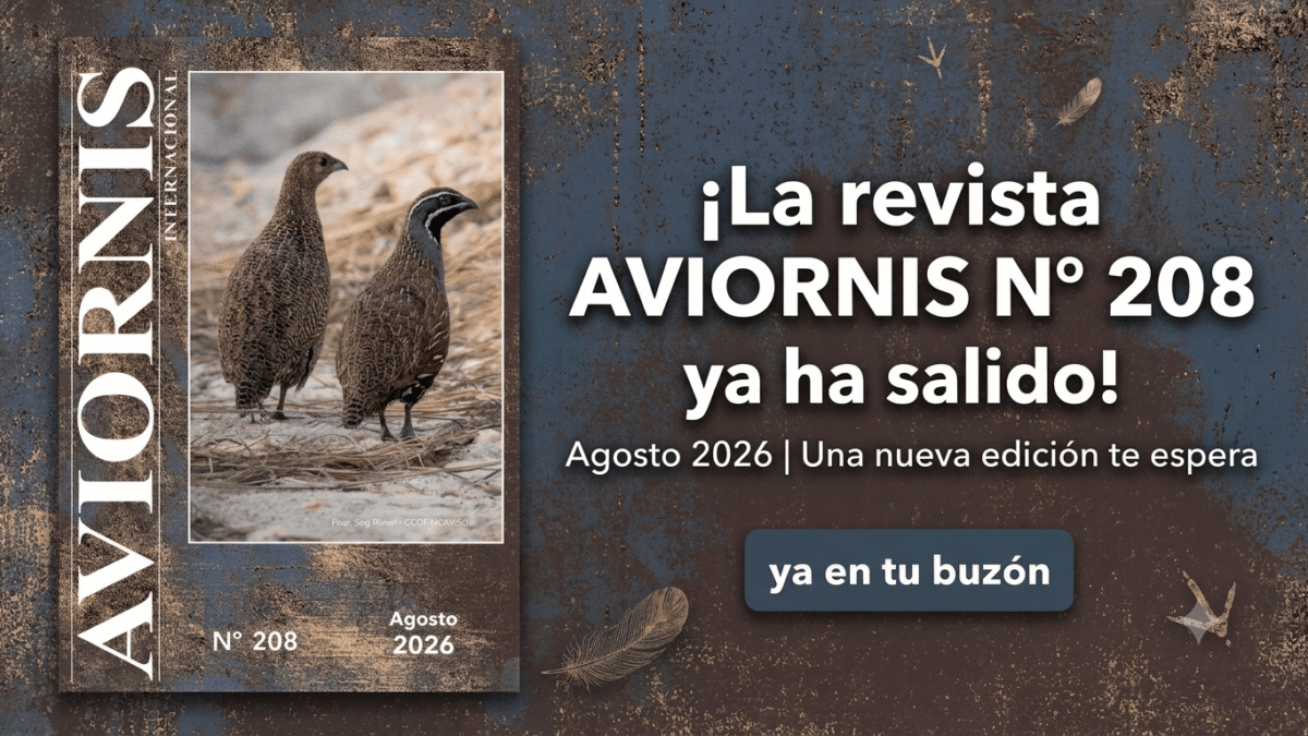 Ya está aquí el número 208 de la revista Aviornis