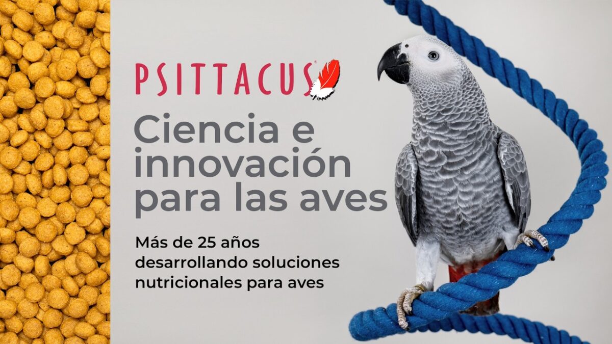 Psittacus Catalonia: 25 años innovando en nutrición aviar