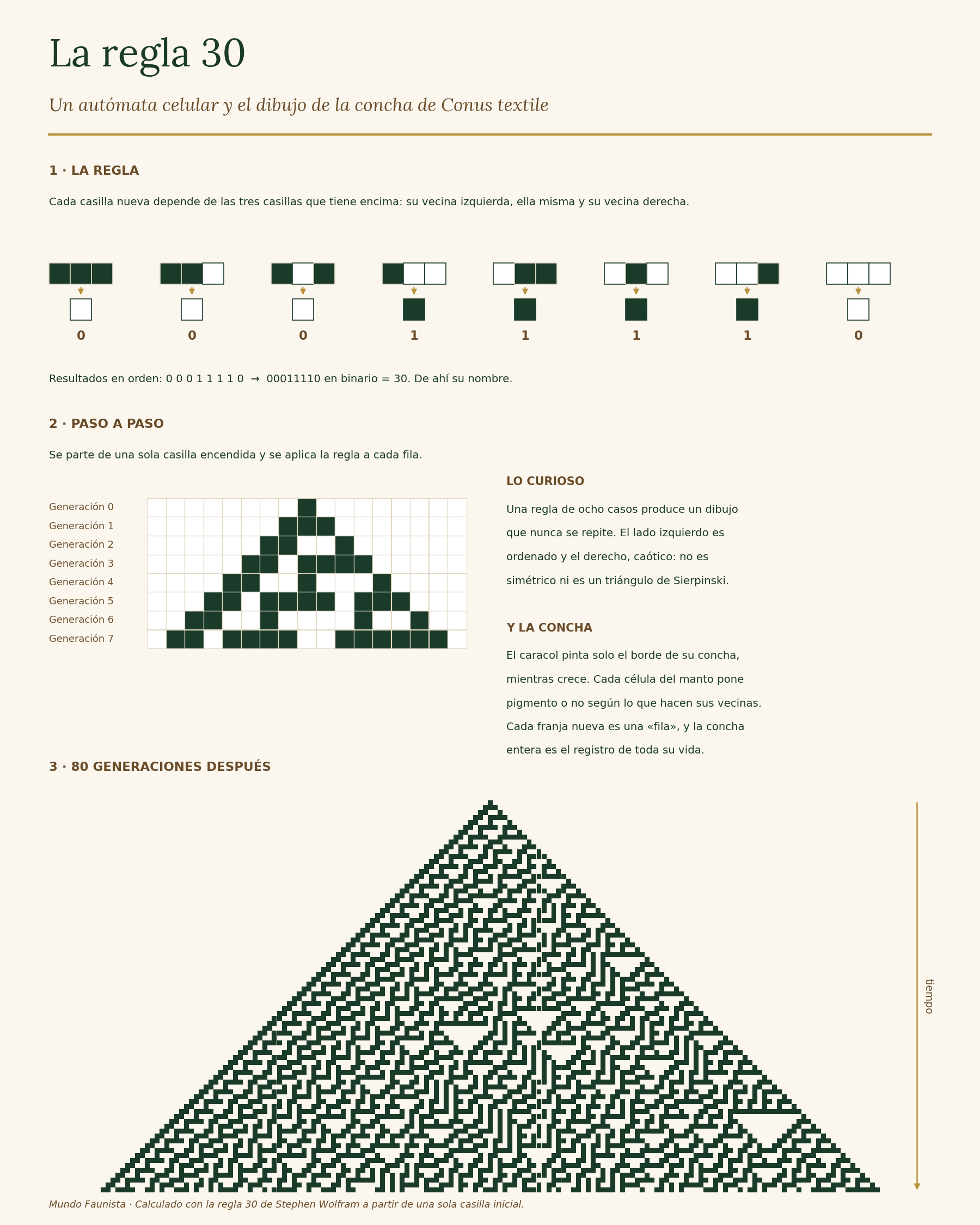 Infografía de la regla 30: tabla de las ocho combinaciones, primeras generaciones paso a paso y triángulo resultante tras 80 generaciones, con un lado ordenado y otro caótico