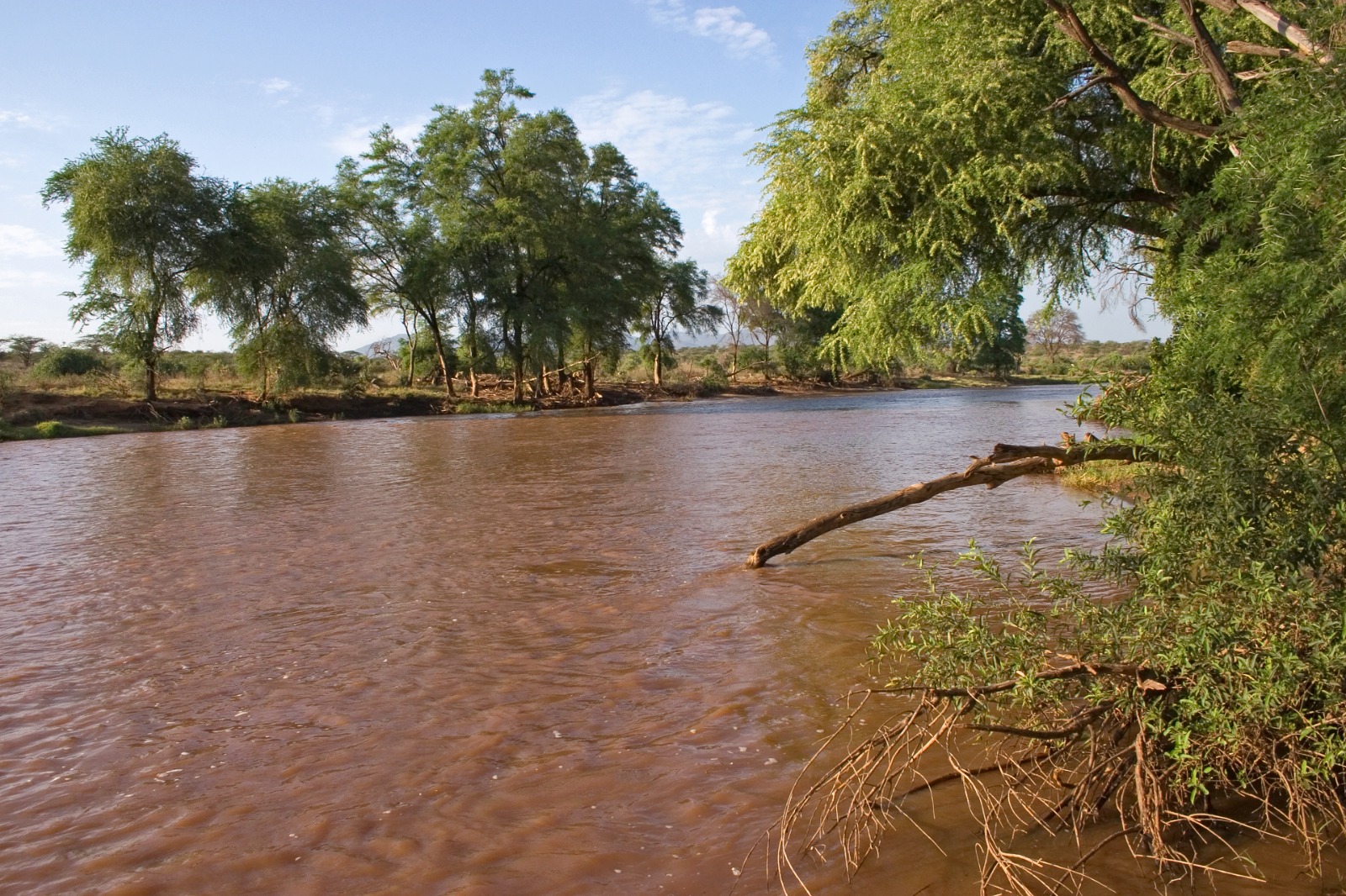 El río Ewaso Ngiro a su paso por la Reserva Nacional de Samburu en un período de lluvias abundantes